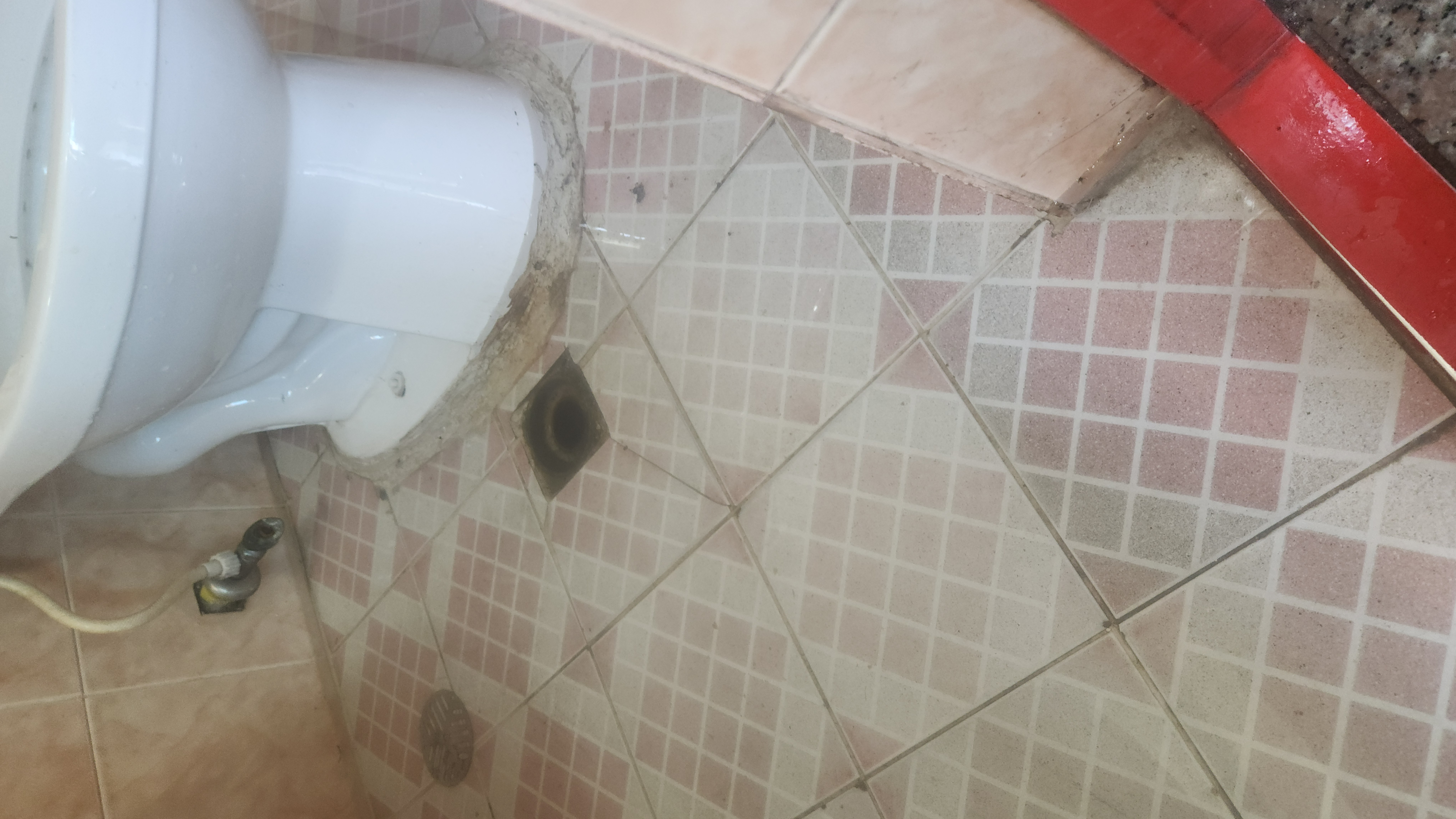 안산 선부동 화장실 하수구막힘 바닥 배수구 역류 현장