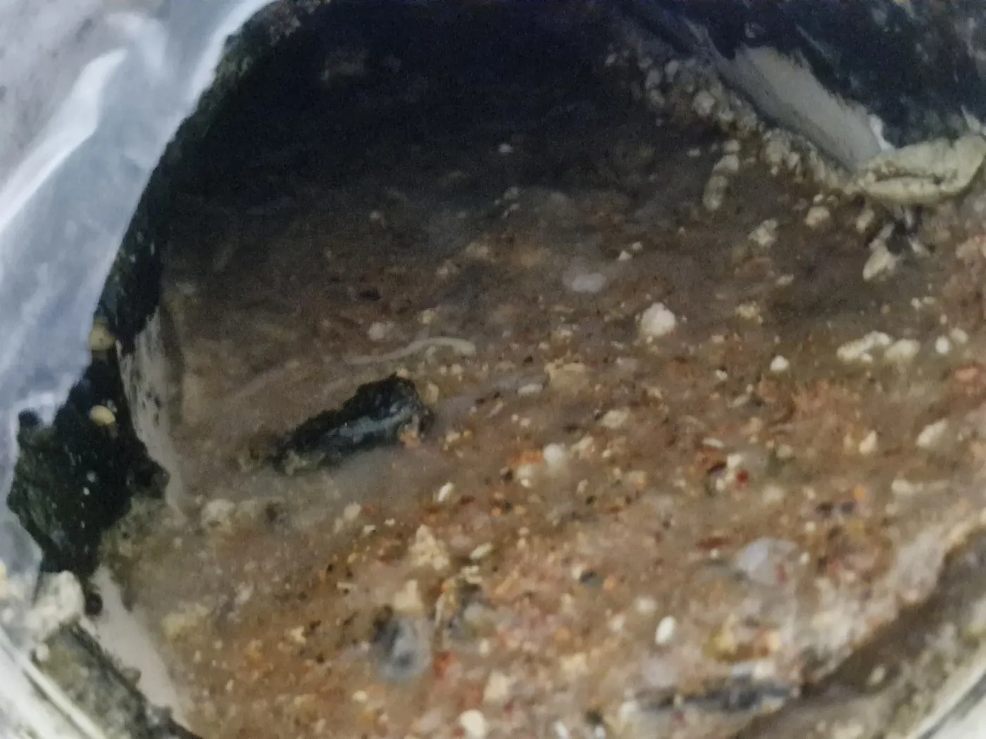 영종구 하수구막힘 막힌 배관 내부와 이물 상태를 확인하는 현장 작업 사진