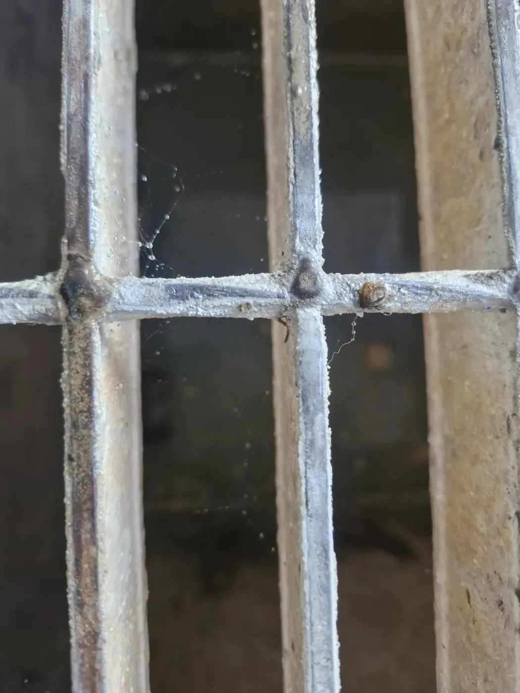 수도계량기로 누수 확인하는 방법, 집에서 먼저 볼 수 있는 것 점검 과정 참고 사진