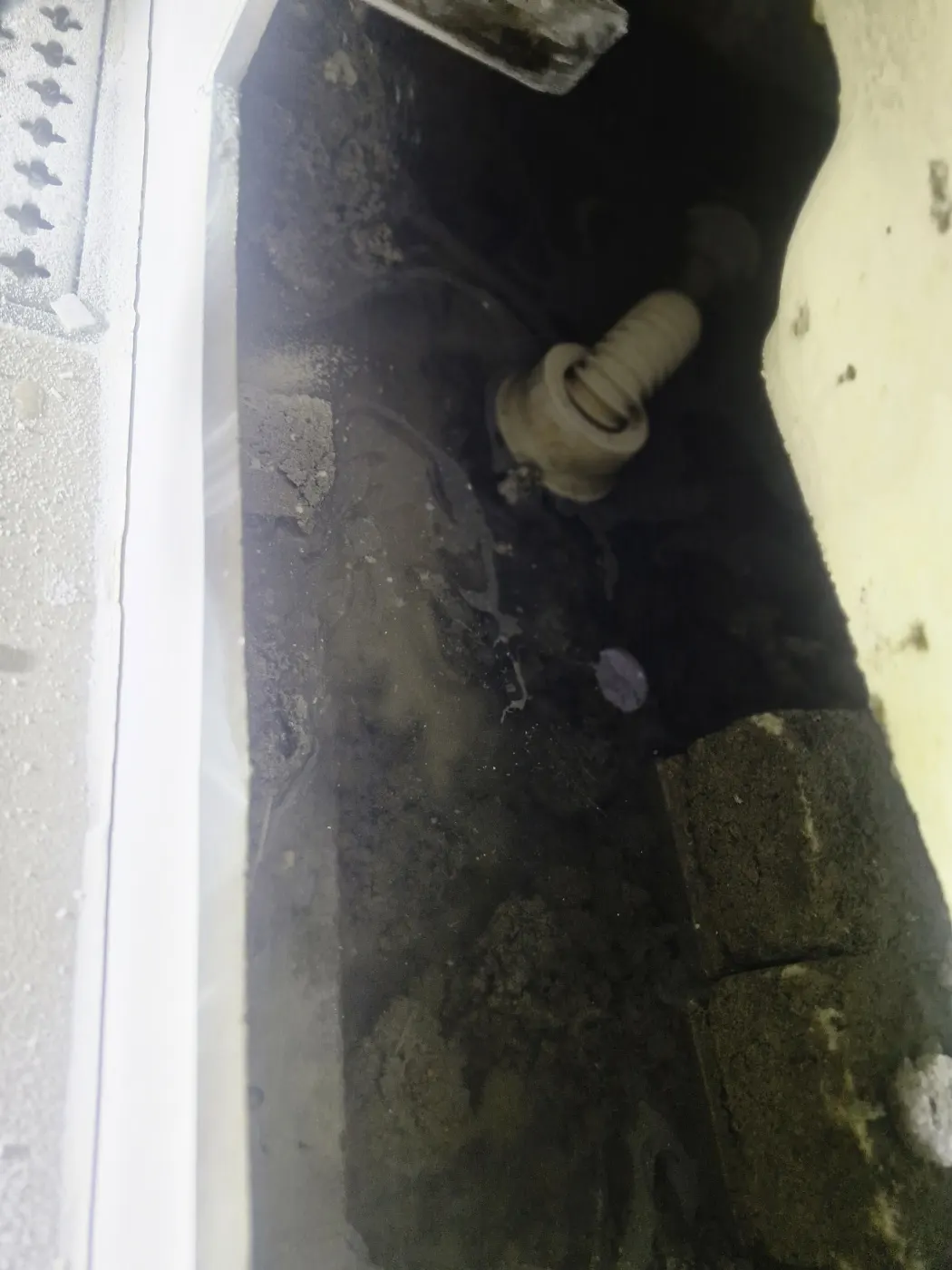 음성군 변기막힘 변기 배수 상태와 막힘 원인을 확인하는 현장 작업 사진